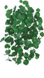 High Imitation Green Decoration Artificial Plant Begonia