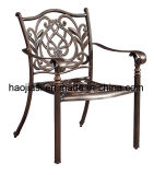 Outdoor / Garden / Patio/ Rattan/Cast Aluminum Chair HS3177c