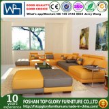 Bright Colored New Design Leather Sofa Furniture (TG-5004)