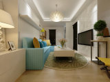 Living Room Furnitue Sofa Wall Bed Fj-R2