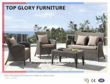 Outdoor Furniture Rattan Sofa with Table (TG-072)
