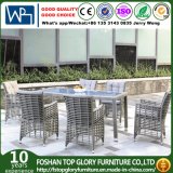 Patio Rattan Dining Set with Cushion Outdoor Dining Set (TG-1666)