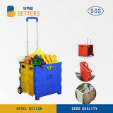 Manufacturers Easy to Carry Shopping Trolley Basket of Fruits