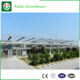 Glass/Hollow Tempered Glass Aluminum Greenhouse for Agriculture/Commercial