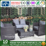 Outdoor Rattan Sofa with Cushion Garden Furniture Leisure Sofa (TG-1260)