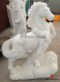 Chinese White Marble Garden Carving Horse Sculpture for Decoration