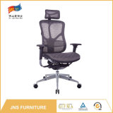 MID Back Black Mesh Metal Frame Ergonomic Office modern Leisure Chair