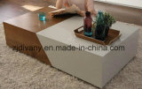 New Style Living Room Wooden Coffee Table (T-92)
