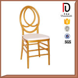 Different Gold Colors Plastic Gold Phoenix Chair (BR-RC114)