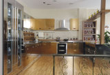 Waterproof Stainless Steel Kitchen Cabinets for Seaside City (BR-SS006)