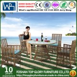 Modern Leisure Outdoor Furniture Rattan Garden Wicker Dining Table and Chairs (TG-1303)