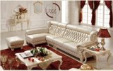 Home Design Furniture Living Room Leather Sofa Y1521