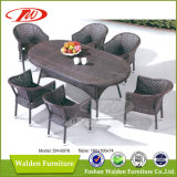 Wicker Furniture, Garden Table (DH-6076)