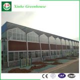 Experienced and Elegant Multi-Span Tunnel Glass Green House