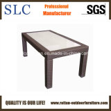 Wicker Table/Rattan Coffee Table/Fancy Coffee Table (SC-B1078-5)