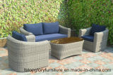 Hot Sale Outdoor Rattan Sofa Set with Cushion