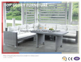 Garden Sectional Outdoor Wicker/Rattan Sofa Set (TG-054)