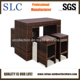 Popular Bar Furniture (SC-8038)