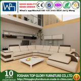 Modern Design Big Corner Leather Sofa (TG-6122)