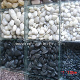 White and Black Natural Polished Pebbles for Landscaping