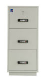 1 Hour Fire-Protection Safe, Fire-Resistant Metal Cabinet (750FRD-3001)