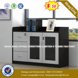 Superior Quality Chemical Latest Cabinet Design (HX-8N1560)