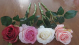 Artificial Real Touch Single Decoration Silk/Plastic Rose Flower