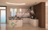 Kitchen Furniture Lacquer Kitchen Cabinet (zs-222)