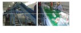 Manual Large Sorting Table for Plastic Recycling Line