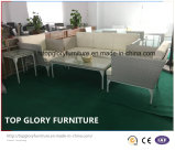 Latest Aluminum Frame Sofa Set PE Rattan Garden Furniture (TG-8014)