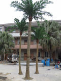2016 Fiberglass Artificial Palm Tree for Garden Decoration