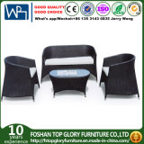 PE Rattan & Aluminum Furniture, Outdoor Rattan Sofa (TG-1251)