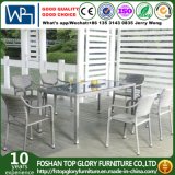 Garden/Patio Rattan Dining Sets for Outdoor Furniture (TG-1620)