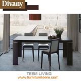 Modern Furniture Solid Wood Dining Table with Chair