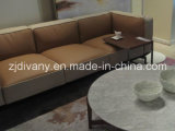 Modern Beige Leather Sofa Modern Home Sofa (D-73-C)