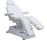 Professional Beauty Salon Facial Bed with 3 Motors