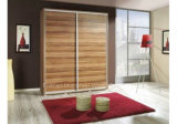 Modern Design High Quality Wooden Wardrobe with Sliding Door (HF-EY080104)