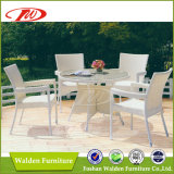 Wicker Furniture, Garden Table, Leisure Chair (DH-6069)