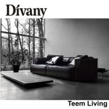 Divany Sectional Sofa with High Quality Leather D-36