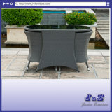 Outdoor Yb Restaurant Leisure Home Garden Hotel Table and Chair (J425)
