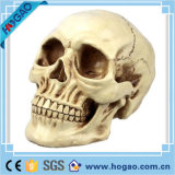 Holloween Decoration Scale Poly Resin Skull Figurine
