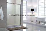 Sliding Simple Shower Room Enclosure Door Screen (SS-103)