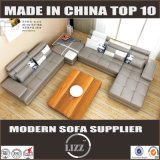 Mimami Divani Modern Leather Sofa for Living Room