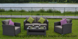 New Products Modern Style Wicker Rattan Sofa Set Furniture (TG-8095)