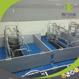 Equipment for Pig Farm Sow Bed Hot DIP Galvanized Farrowing Crate