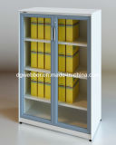 Modern Steel Glazed Swing Door Filing Cabinet (SV-SWG1357)