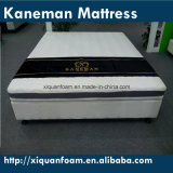 Firm Cheap Compressed Foam Portable Vacuumed Roll up Mattress