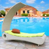Beach Swimming Pool Outdoor Lounger Chair Wicker / Rattan Sun Lounger / Rattan Sun Bed T529