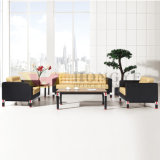 Unique Design Office Sofa Set for European and American Market (HY-S1018)