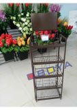 Coffee or Tea Stand/ Rack / Display Shelf for Supermarket